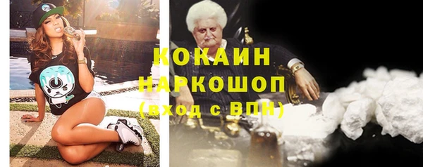 индика Алапаевск