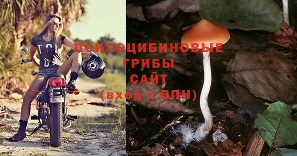 ALPHA PVP Нефтекумск