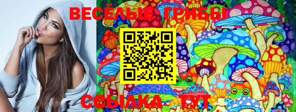 Галлюциногенные грибы прущие грибы Стерлитамак